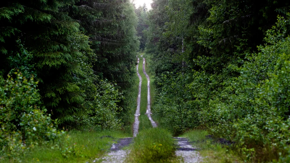 Om man inte lyfter blicken är det lätt att allt rullar på i samma spår. Självklart men ändå så svårt.
 