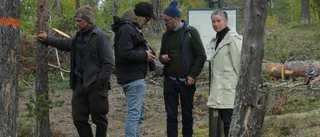Udda konstexperiment genomförs i Lainio