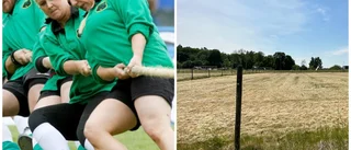 Nu blir det närmare drag: "Lättare att nå ut"