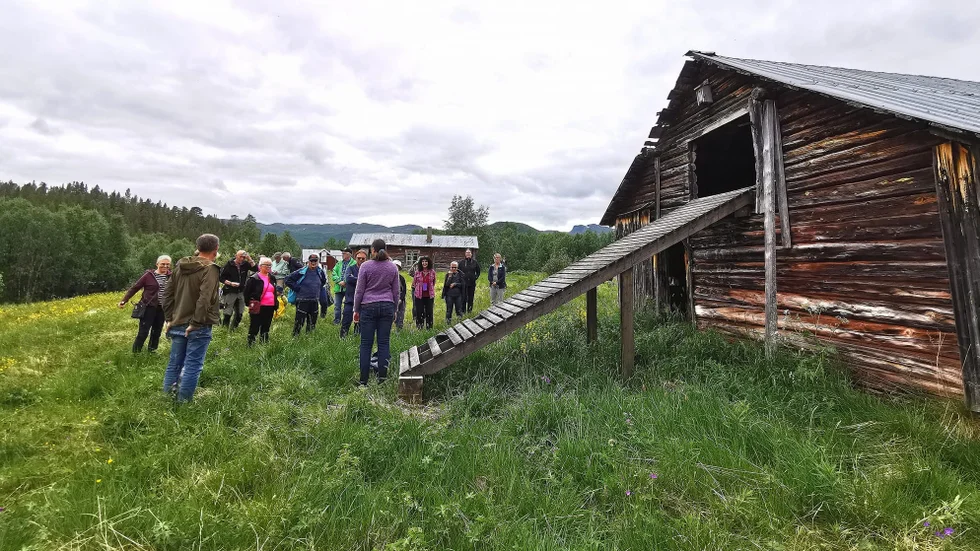 Under midsommarhelgen samlades närmare trettio deltagare i Laisvallby och Veijenäs där stora delar av Kerstin Ekmans bok ​"Händelser vid vatten" spelades in.