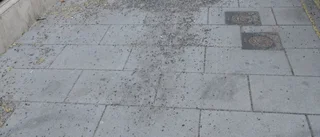 Vem ansvarar egentligen för sopningen?