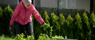 Faktum är att svenska pensioner är de mest ojämställda i Norden.