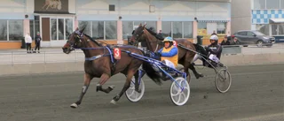 Årsdebutanter och talanger imponerade på Bodentravet