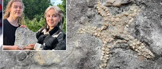 Syskonen hittade unik sjöstjärna: ”Jag skrek som ett barn”