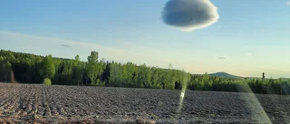 Läsarbilden: Tralala lilla molntuss