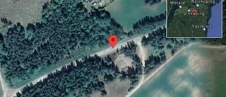 Fallna träd skapar problem i trafiken