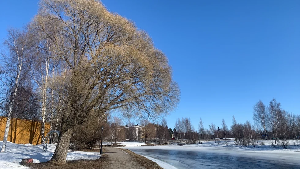 Dagens läsarbild.