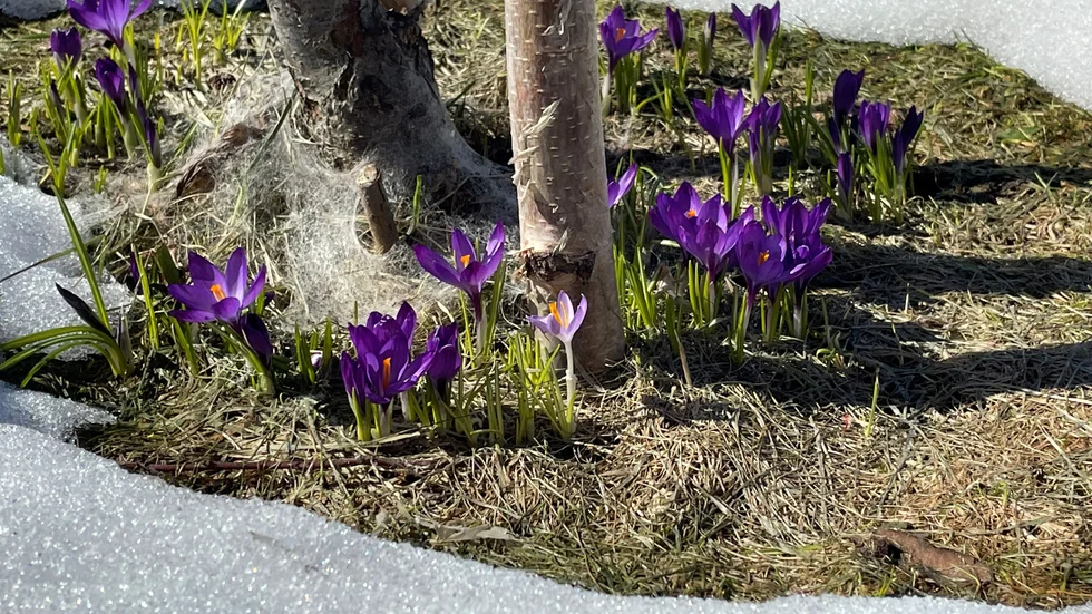 Dagens läsarbild.