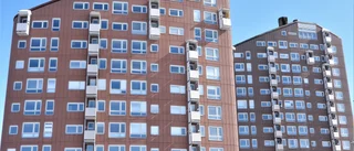 "Kan bli världsklass eller ankdamm av allt"