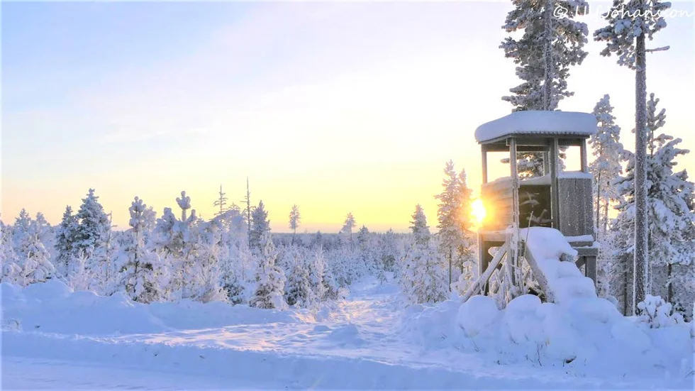 Vackra februari. Efter en skogsväg strax utanför Junosuando har Ulf Johansson tagit denna fina februaribild.