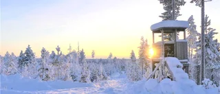 Läsarbild: Vackra februari