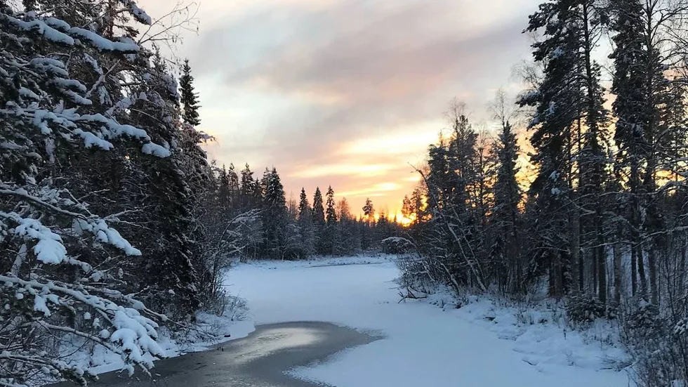 ”Jag tycker mig kunna ana ljuset i tunneln. Vid Strycket, mellan Orrbyn och Ängesträsk, Juldagen”, skirver Ricky Eriksson som sänt in bilden.↔Foto:Ricky Eriksson