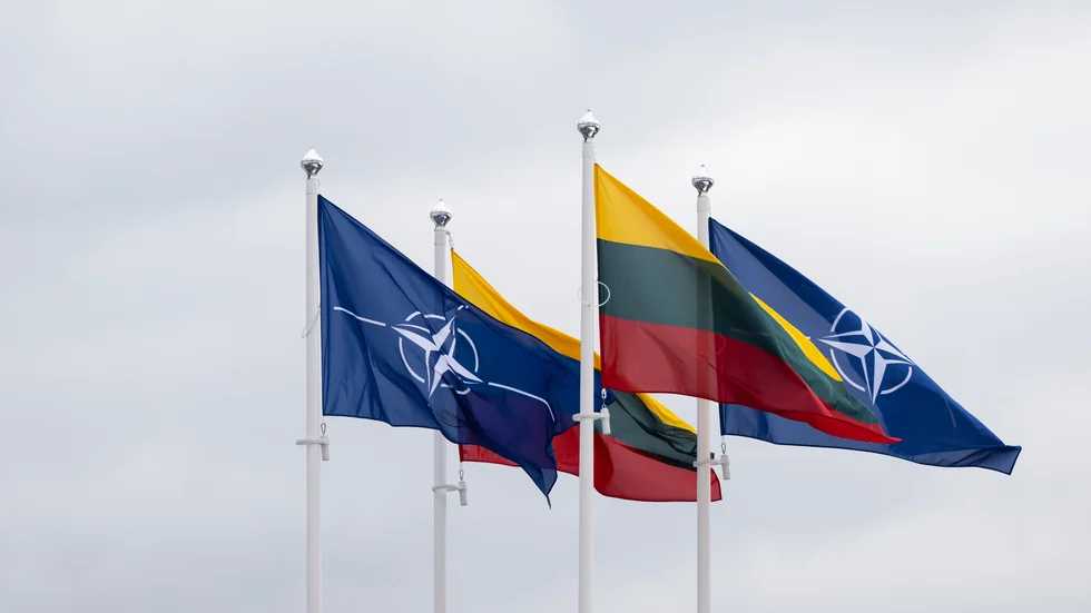 "600 turkar i parlamentet ska rösta om Sveriges medlemskap i Nato men svenska folket ska inte rösta om framtiden för sitt eget land".