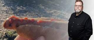 "Svårare att njuta av naturen med en nygrillad korv i handen"