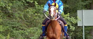 SM-silver till Franzén