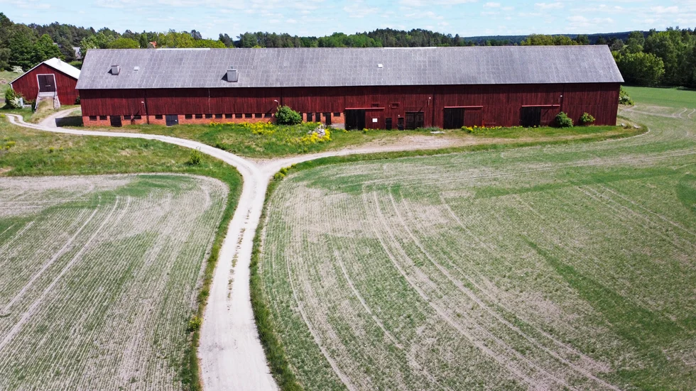 Det är dumt att riva ladorna i Balsta eftersom en ny skola inte kommer att byggas inom överskådlig framtid. En skolbyggnation skulle dessutom inkräkta på den viktiga åkermarken, menar skribenten.