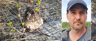 Fiskburar blir dödsfällor: "Låg döda fåglar i nästan varenda en"