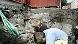Vid grävningar efter en avloppsledning intill Sigtuna museum har arkeologerna hittat en tidigare okänd grav. Arkeolog Anders Wikström i gula byxor assisteras av Erik Ljungberg, som sitter mitt i graven, och Cecilia Ljung.
