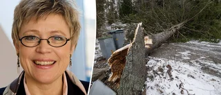 100-tals husägare drabbade av stormen