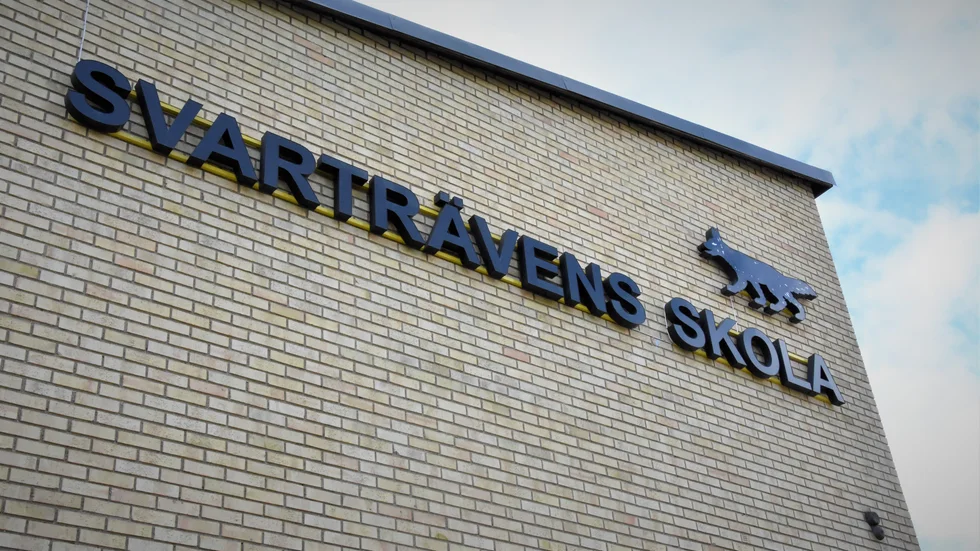 En tredjedel av eleverna insjuknade vecka sex.
