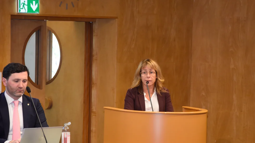Anette Asplund (KD) argumenterade för att det ska finnas en parkeringsplats för varje lägenhet som byggs. 1:1.