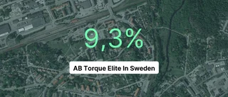 AB Torque Elite In Sweden redovisar marginal som slår branschsnittet