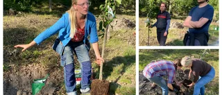 "Tror att det är så här som vi får fram mat i framtiden"