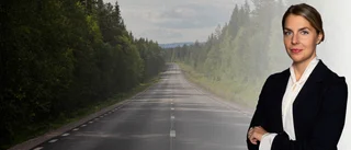 Kan 125 skånska kommunikatörer rädda Dorotea?