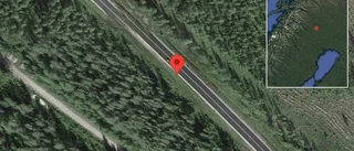 Viltolycka orsakade stopp på E10 – ren avled
