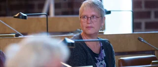 Därför valde Vänsterpartiet att inte delta i beslutet