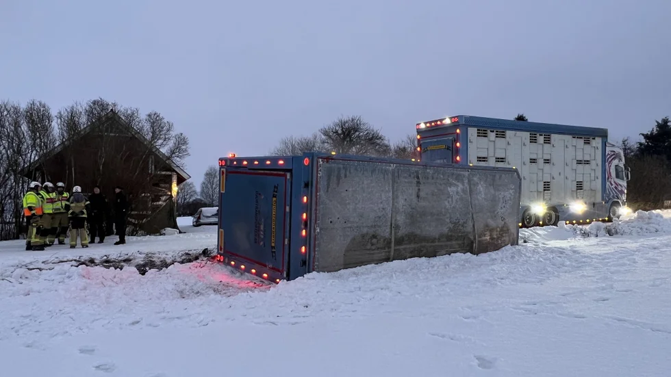 Ett lastbilssläp med 90 grisar välte på onsdagsmorgonen utanför Vadstena.