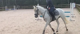 Lowas debut i Falsterbo lovar gott inför framtiden