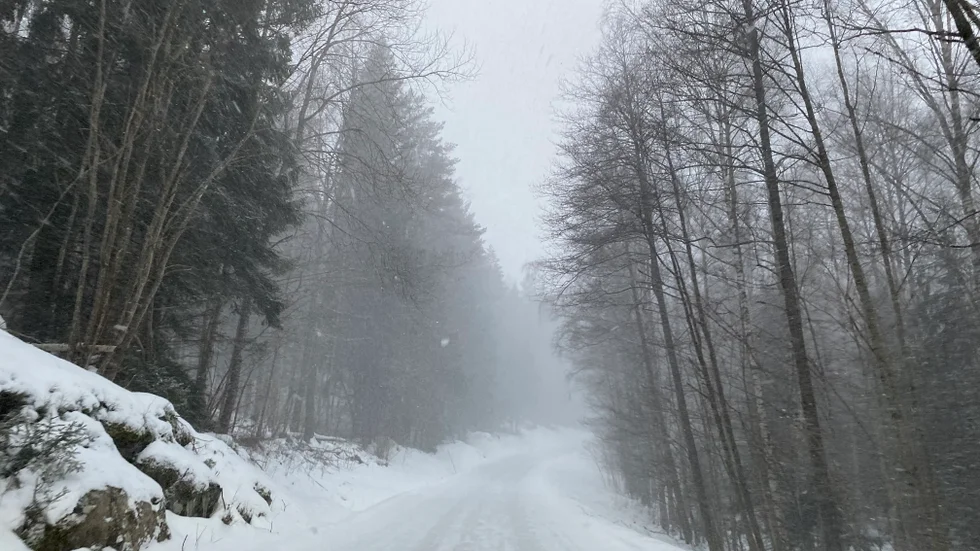 På en del håll har det tagit dagar innan länsvägarna frigjorts för de fordon som ska till länets gårdar.