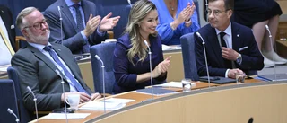 De tre musketörerna tolkade i en svensk version 2024
