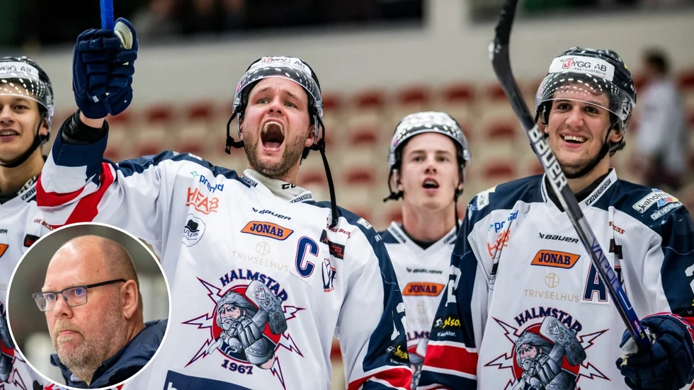 Halmstad Hammers 