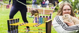 Sötchock i Stadsparken när kaniner hoppade högt