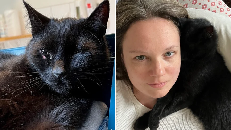 Ingrid Rådholm Konvicka och den ettåriga katten Koda som blev påkörd i Mörlunda.