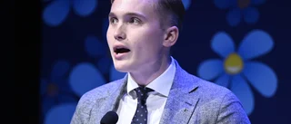 SD använder sig av samma strategi som brittiska UKIP