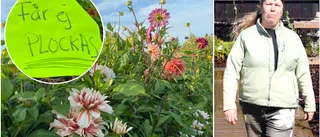 Ovälkommen blomplockning på Sinnenas ateljé