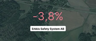 Så gick det för Erkkis Safety System AB 2022