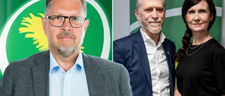 Miljöpartiet plågas av interna konflikter