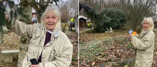 Hon har skänkt en riktig "Disneygran" till Ugglans park
