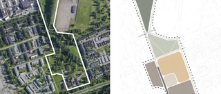 PLANEN: 60 radhus byggs på Anderstorps grönytor