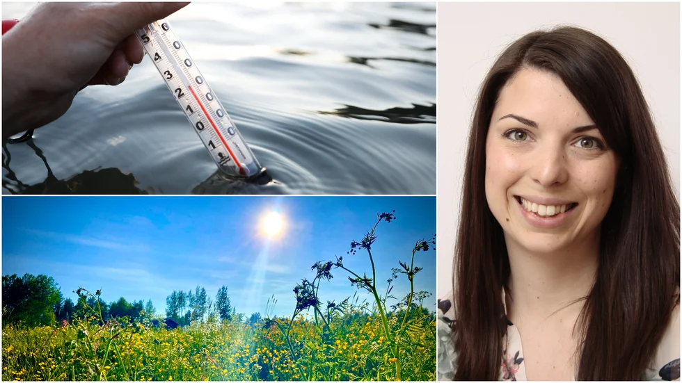 Det väntas bli en hel del sol och varmt i början av september, enligt SMHI:s prognos.