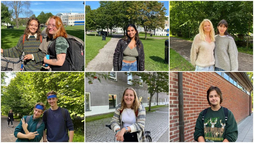 De studenter UNT träffar har haft tur och fått tag på boende. Här delar de med sig av sina bästa tips.