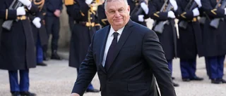 Orbán: Stöttar Sveriges Natoansökan