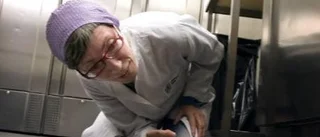 Hittade skadedjur i mataffärer