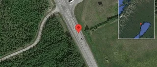 Varning för älg på vägen på E4