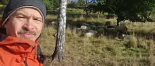 Får jättebidrag – nu kan bygget påbörjas: "Som fågeln Fenix"