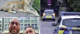 Far och dotter hamnade mitt i lejonkaoset i Berlin